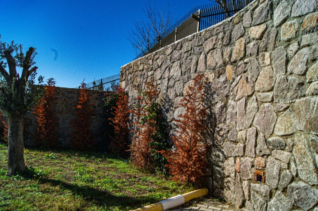 Palmiye Evleri